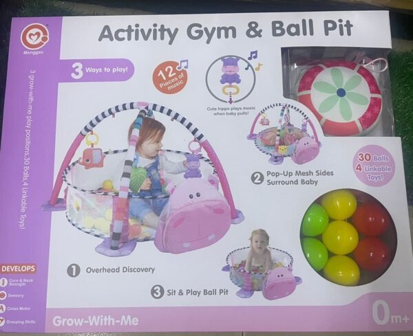 Activity Gym and Ball Pit
