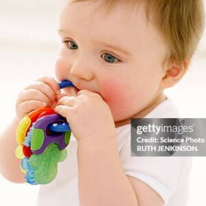 Baby Teether