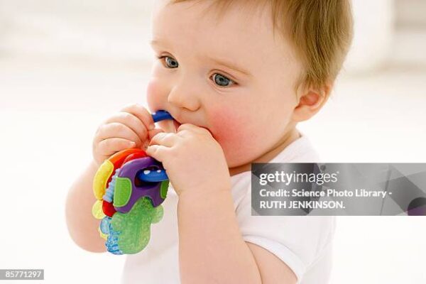 Baby Teether
